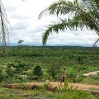 Design: Transforming Markets for Conservation