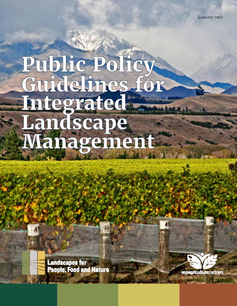 cover-of-public-policy-guidelines-for-ilm-january-2017-final