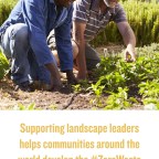 Instagram Story on #FoodLoss for World Food Day