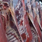 The Devil You Know: Trust and the Beef Business in Northern Arizona